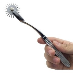 Joints Wartenberg Pinwheel