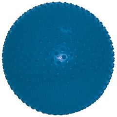 Cando Dikenli Gymball Top 85 Cm