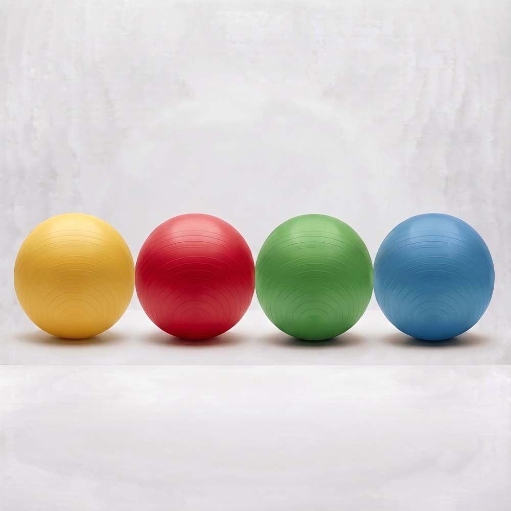 Pilates Topu Gym Ball Yoga ve Egzersiz Topu - Pompa Hediyeli