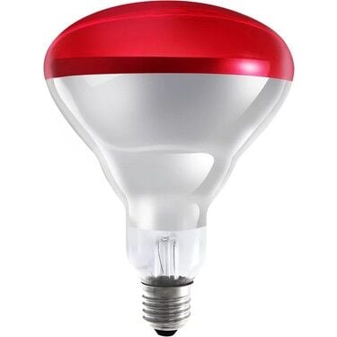 İnfraruj Cihaz Ampulü (250w)