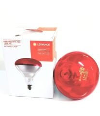 İnfraruj Cihaz Ampulü (250w)